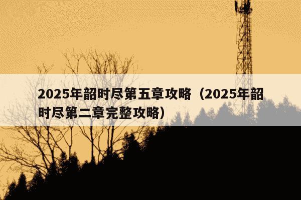 2025年韶时尽第五章攻略（2025年韶时尽第二章完整攻略）