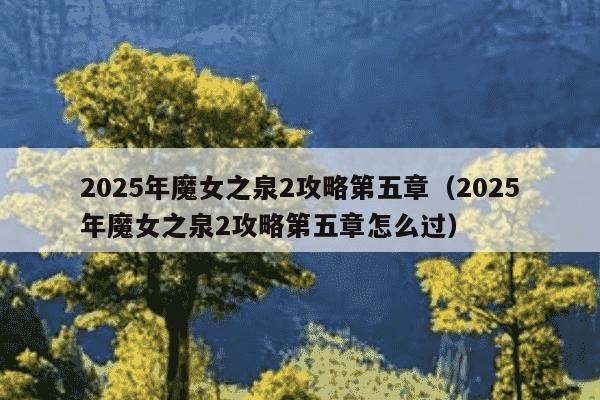 2025年魔女之泉2攻略第五章（2025年魔女之泉2攻略第五章怎么过）