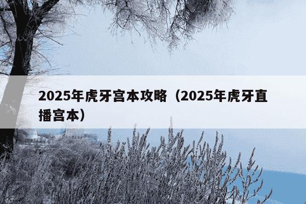 2025年虎牙宫本攻略（2025年虎牙直播宫本）