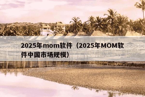2025年mom软件（2025年MOM软件中国市场规模）