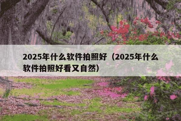 2025年什么软件拍照好（2025年什么软件拍照好看又自然）