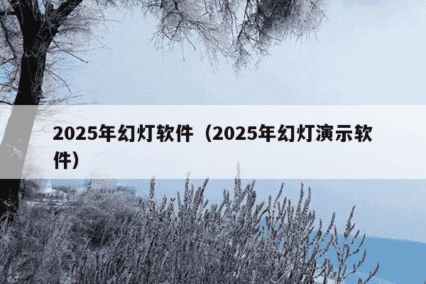 2025年幻灯软件（2025年幻灯演示软件）