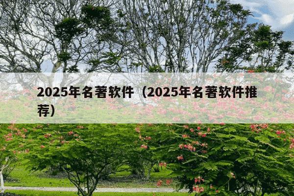 2025年名著软件（2025年名著软件推荐）