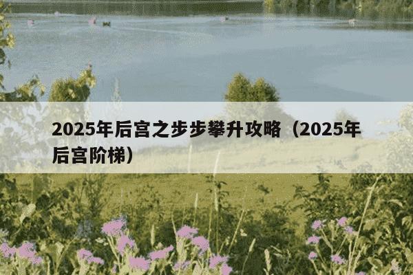 2025年后宫之步步攀升攻略（2025年后宫阶梯）