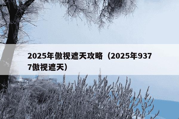 2025年傲视遮天攻略（2025年9377傲视遮天）