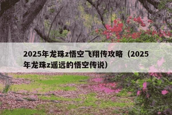 2025年龙珠z悟空飞翔传攻略（2025年龙珠z遥远的悟空传说）