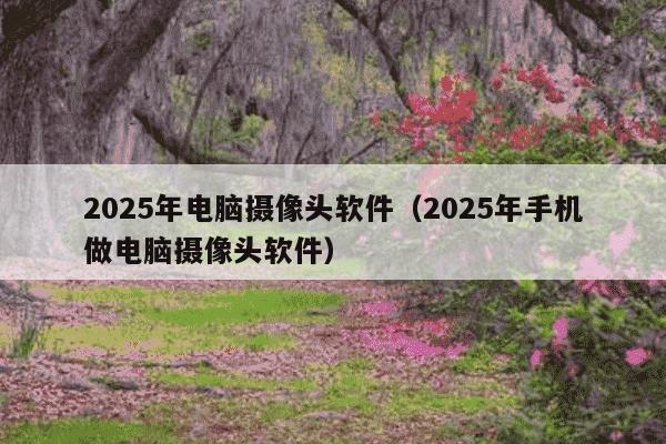 2025年电脑摄像头软件（2025年手机做电脑摄像头软件）