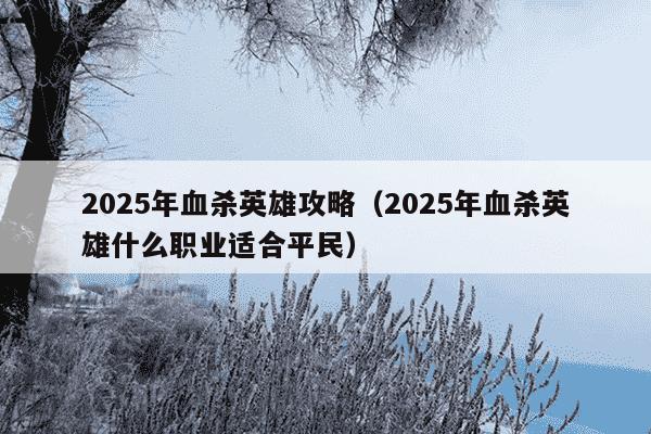 2025年血杀英雄攻略（2025年血杀英雄什么职业适合平民）