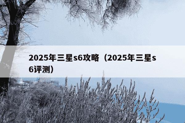 2025年三星s6攻略（2025年三星s6评测）