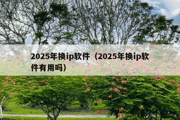 2025年换ip软件（2025年换ip软件有用吗）