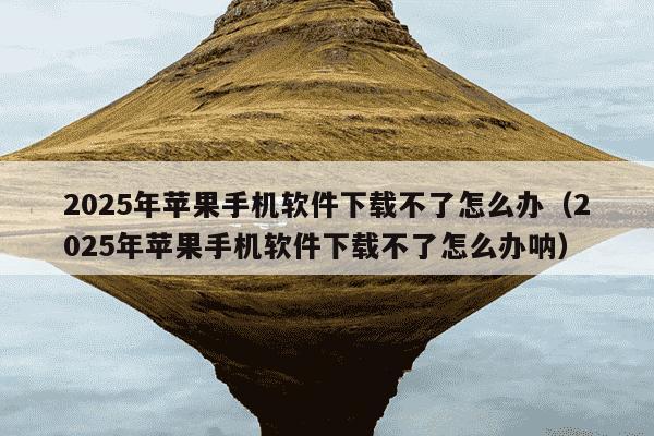 2025年苹果手机软件下载不了怎么办（2025年苹果手机软件下载不了怎么办呐）