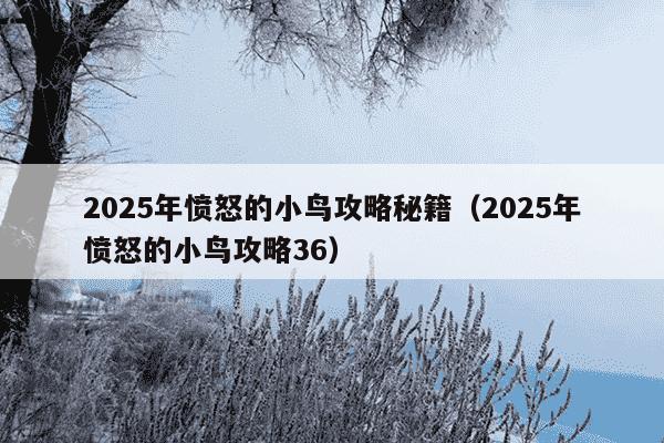 2025年愤怒的小鸟攻略秘籍（2025年愤怒的小鸟攻略36）