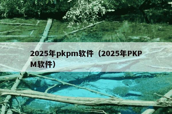 2025年pkpm软件（2025年PKPM软件）