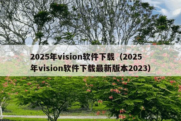 2025年vision软件下载（2025年vision软件下载最新版本2023）