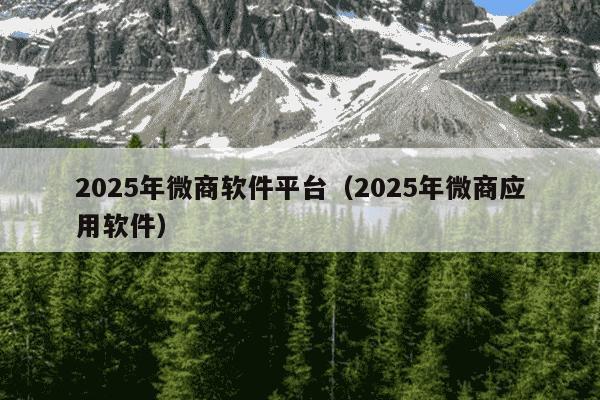 2025年微商软件平台（2025年微商应用软件）