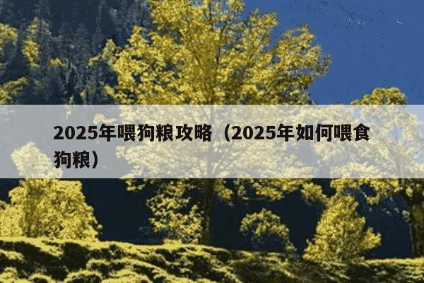 2025年喂狗粮攻略（2025年如何喂食狗粮）