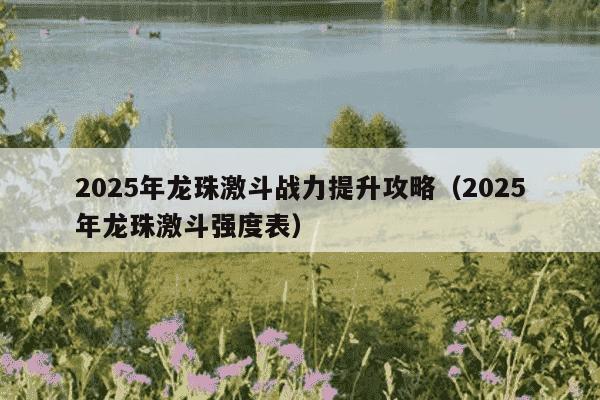 2025年龙珠激斗战力提升攻略（2025年龙珠激斗强度表）