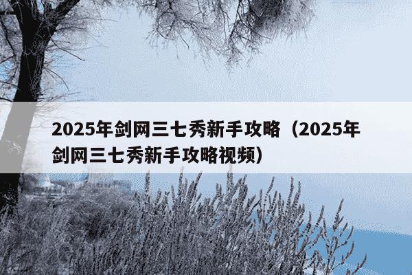 2025年剑网三七秀新手攻略（2025年剑网三七秀新手攻略视频）