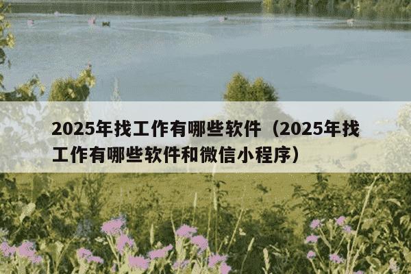 2025年找工作有哪些软件（2025年找工作有哪些软件和微信小程序）