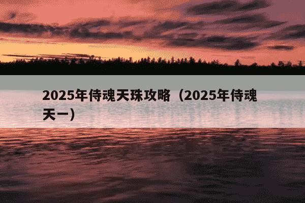 2025年侍魂天珠攻略（2025年侍魂 天一）