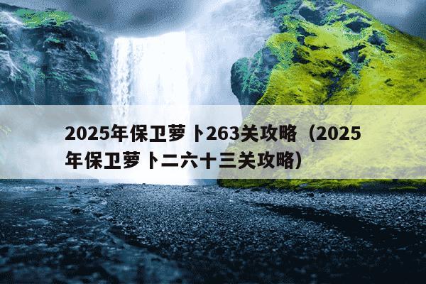2025年保卫萝卜263关攻略（2025年保卫萝卜二六十三关攻略）