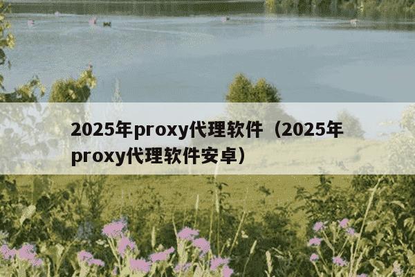 2025年proxy代理软件（2025年proxy代理软件安卓）