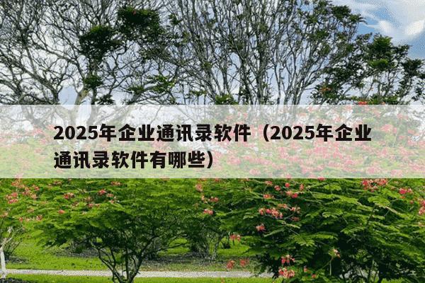 2025年企业通讯录软件（2025年企业通讯录软件有哪些）