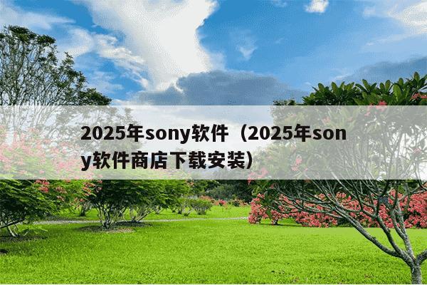 2025年sony软件（2025年sony软件商店下载安装）