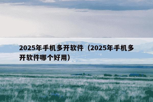 2025年手机多开软件（2025年手机多开软件哪个好用）