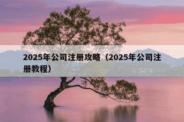 2025年公司注册攻略（2025年公司注册教程）