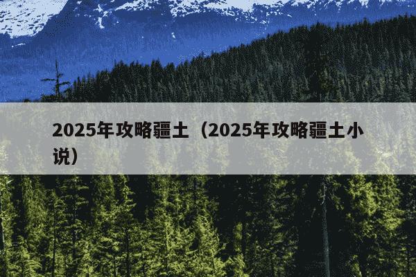 2025年攻略疆土（2025年攻略疆土小说）