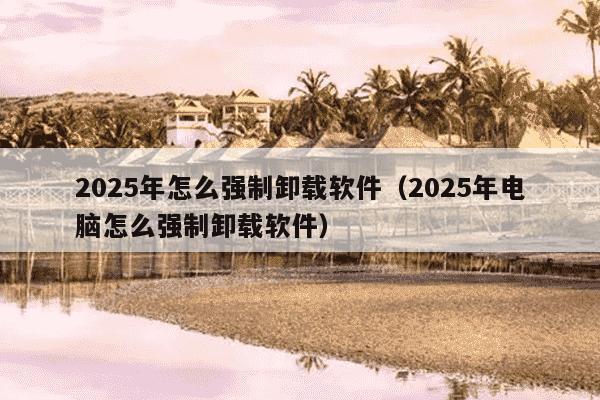 2025年怎么强制卸载软件（2025年电脑怎么强制卸载软件）