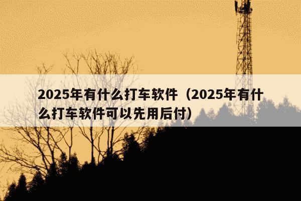 2025年有什么打车软件（2025年有什么打车软件可以先用后付）