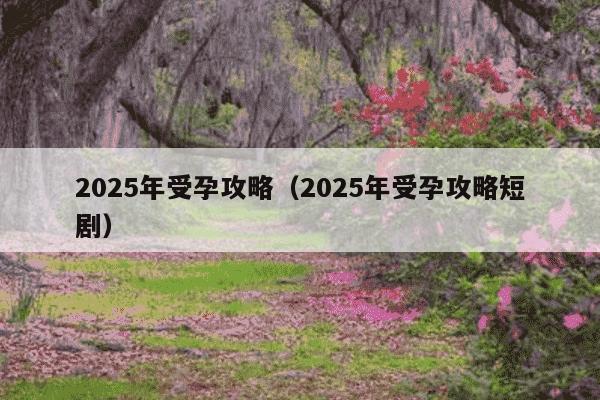 2025年受孕攻略（2025年受孕攻略短剧）