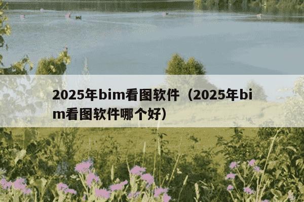 2025年bim看图软件（2025年bim看图软件哪个好）