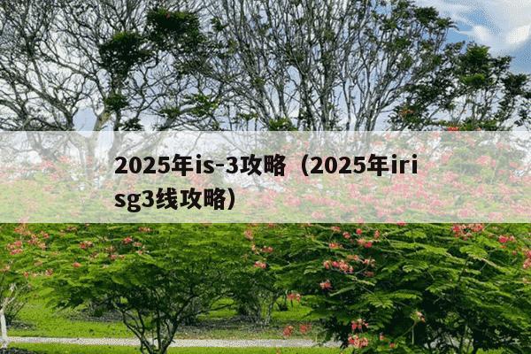 2025年is-3攻略（2025年irisg3线攻略）