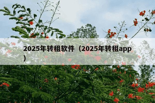2025年转租软件（2025年转租app）