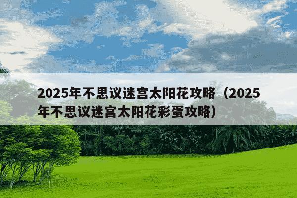 2025年不思议迷宫太阳花攻略（2025年不思议迷宫太阳花彩蛋攻略）