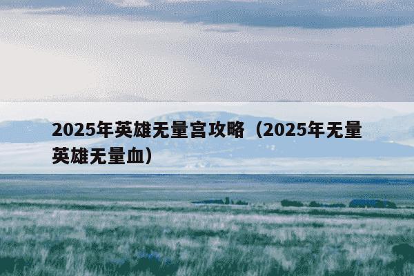 2025年英雄无量宫攻略（2025年无量英雄无量血）