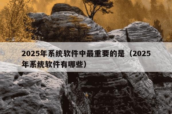 2025年系统软件中最重要的是（2025年系统软件有哪些）
