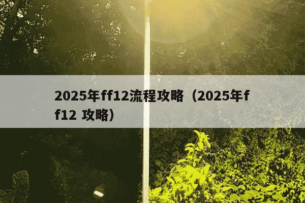 2025年ff12流程攻略（2025年ff12 攻略）