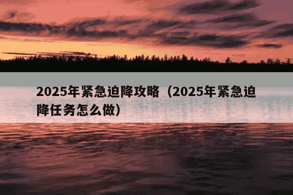 2025年紧急迫降攻略（2025年紧急迫降任务怎么做）
