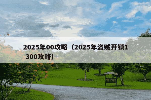 2025年00攻略（2025年盗贼开锁1 300攻略）