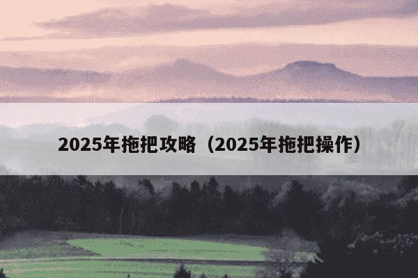 2025年拖把攻略（2025年拖把操作）