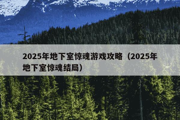 2025年地下室惊魂游戏攻略（2025年地下室惊魂结局）