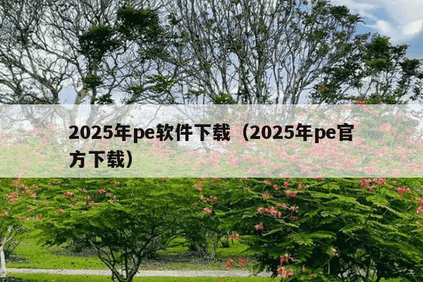 2025年pe软件下载（2025年pe官方下载）