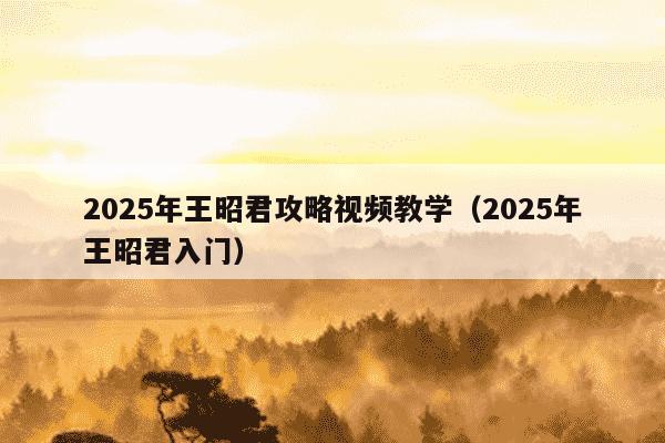 2025年王昭君攻略视频教学（2025年王昭君入门）