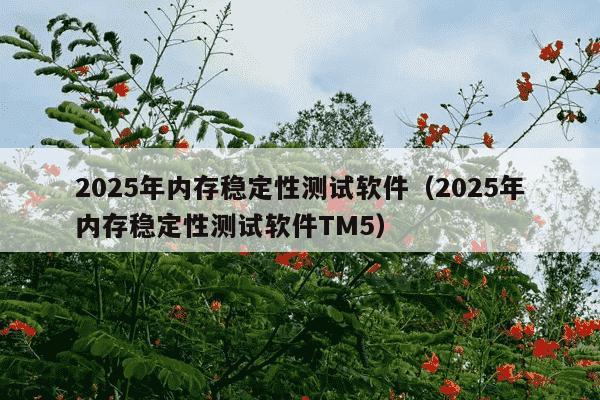 2025年内存稳定性测试软件（2025年内存稳定性测试软件TM5）