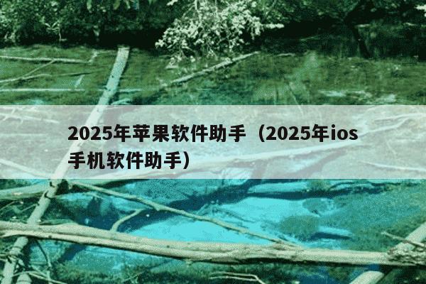2025年苹果软件助手（2025年ios手机软件助手）