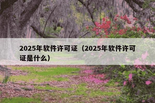 2025年软件许可证（2025年软件许可证是什么）